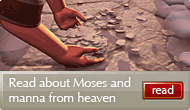 Moses, the desert trek and manna from heaven