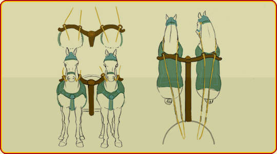 Chariot Horse Harness