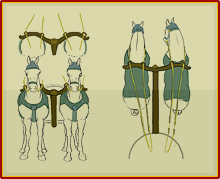 Chariot Horse Harness