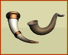 Shofar Horns