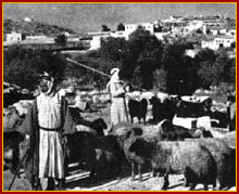 Shepherds looking over to Bethlehem - www.BiblePictureGallery.com