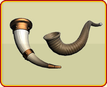 Shofar Horns